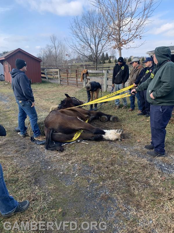 Service call for a downed horse  on December 7, 2025 at Woodwind Farm off of Deer Park Road.