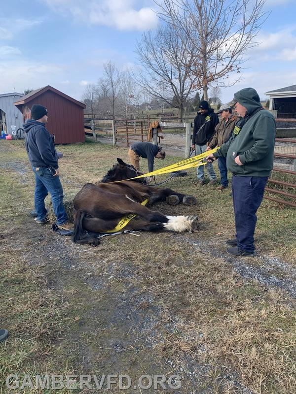 Service call for a downed horse  on December 7, 2025 at Woodwind Farm off of Deer Park Road.