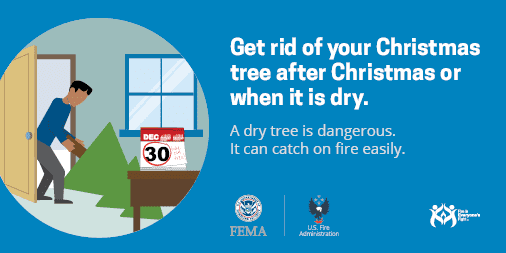 Discard your tree after Christmas or if it has dried out. If the needles start to fall, it is starting to dry out.